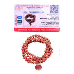 8 Mukhi Rudraksha with 5 Mukhi Rudraksha Mala