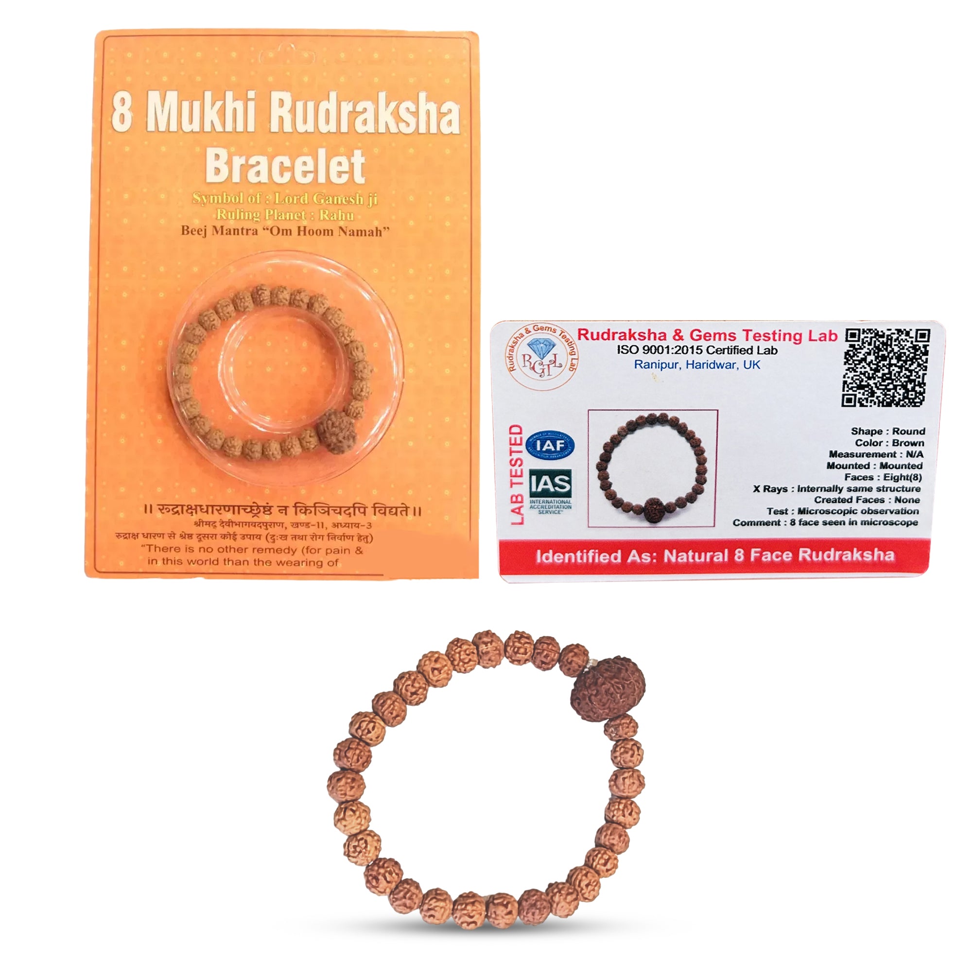 8 Mukhi Rudraksha Bracelet