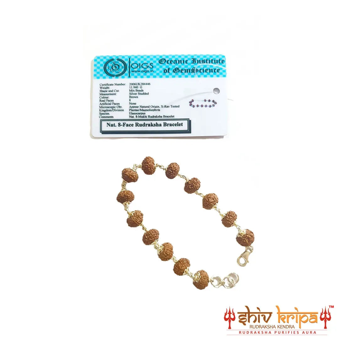 8 Mukhi Rudraksha Bracelet in Pure Silver 92.5ct