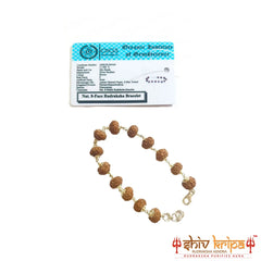 8 Mukhi Rudraksha Bracelet in Pure Silver 92.5ct