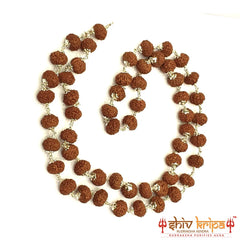 8 Mukhi Rudraksha Mala in Pure Silver, 54+1 Beads 9mm Size