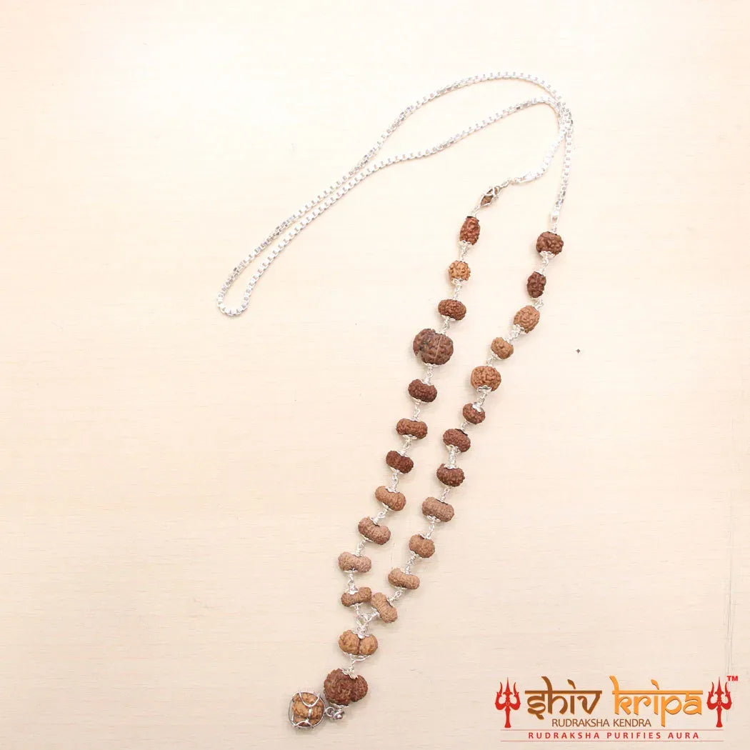 Sarv Shakti 1 to 21 mukhi rudraksha mala (Indrani mala)