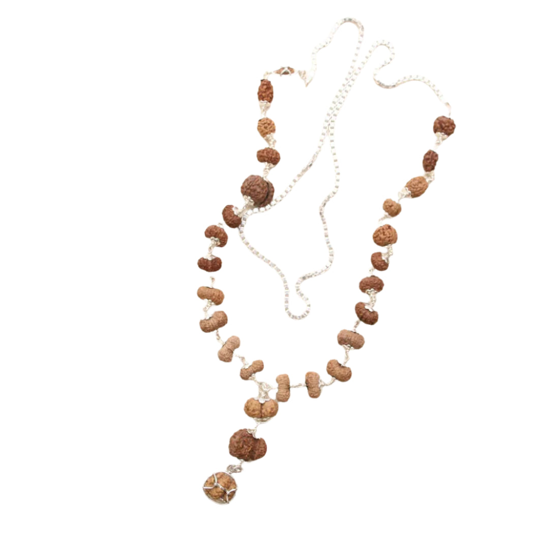 Sarv Shakti 1 to 21 mukhi rudraksha mala (Indrani mala)