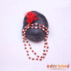 Rudraksha, Pearl, Coral & Sphatik Combination mala