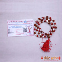 Rudraksha, Pearl, Coral & Sphatik Combination mala