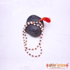 Rudraksha With Pearl Mala