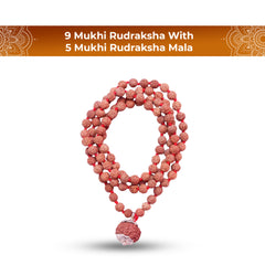 9 Mukhi Rudraksha With 5 Mukhi Rudraksha Mala