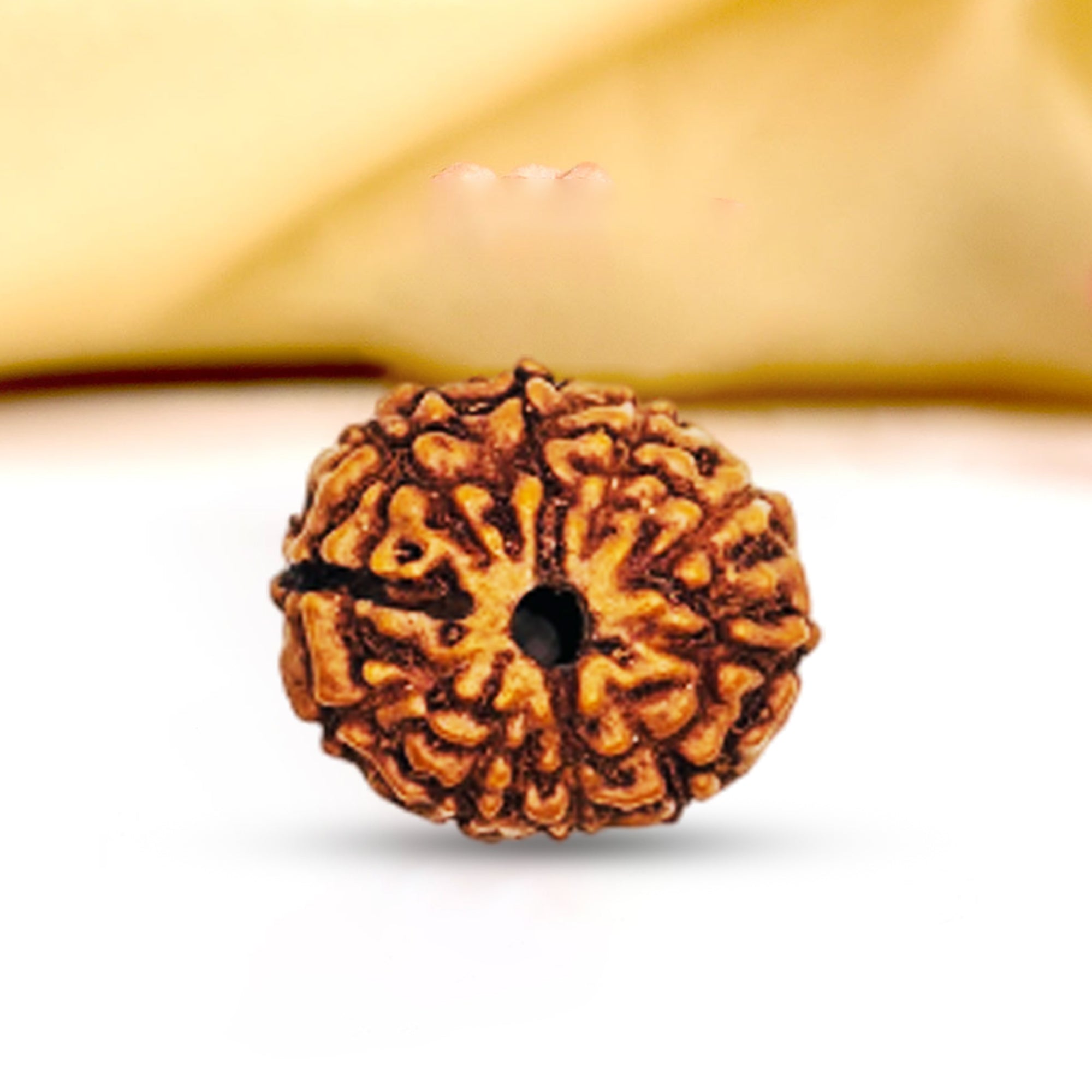 9 Mukhi Rudraksha (Indonesian)