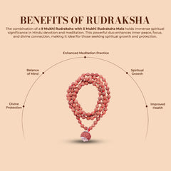 9 Mukhi Rudraksha With 5 Mukhi Rudraksha Mala