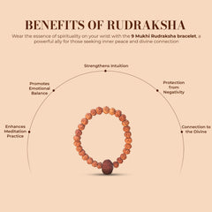 9 Mukhi Rudraksha Bracelet