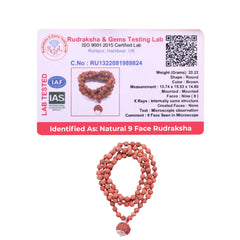 9 Mukhi Rudraksha With 5 Mukhi Rudraksha Mala