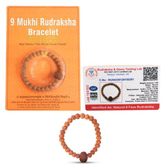 9 Mukhi Rudraksha Bracelet