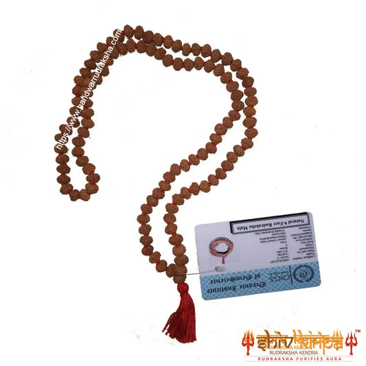 Real 9 Mukhi Rudraksha Mala