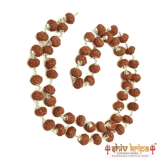 9 Mukhi Rudraksha Mala in Pure Silver, 54+1 Beads 9mm Size