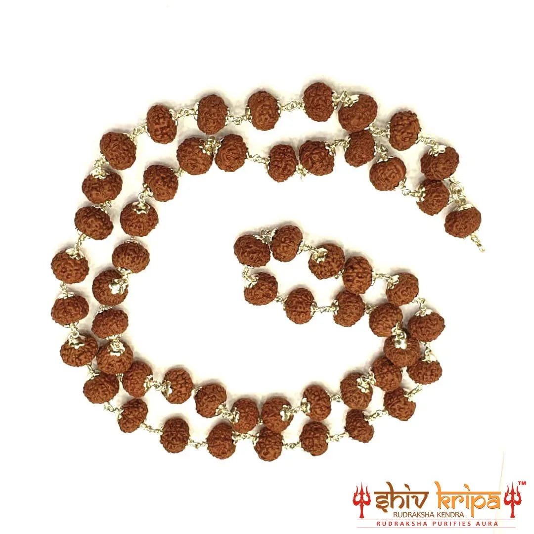 9 Mukhi Rudraksha Mala in Pure Silver, 54+1 Beads 9mm Size