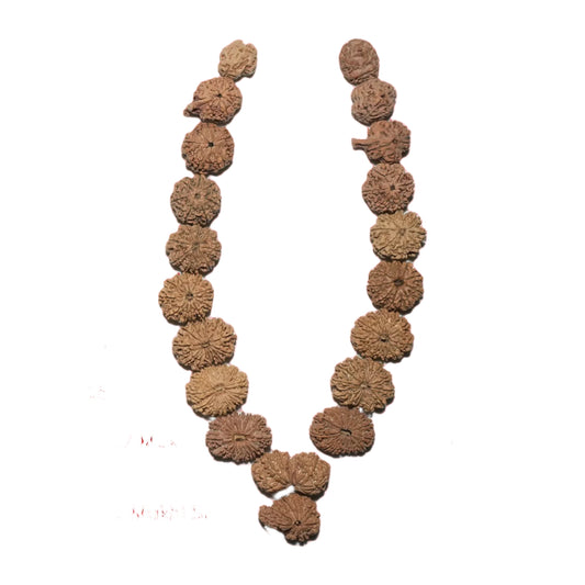 Sarv sidh maha-mrityunjaya mala 1 to 17 mukhi rudraksha nepali with gauri shanker and ganesh rudraksha