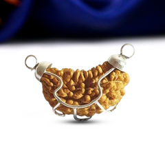 1 mukhi rudraksha locket with Silver Capping