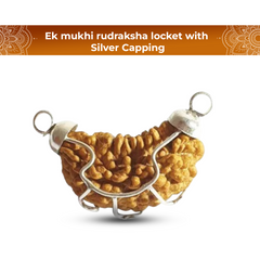 1 mukhi rudraksha locket with Silver Capping