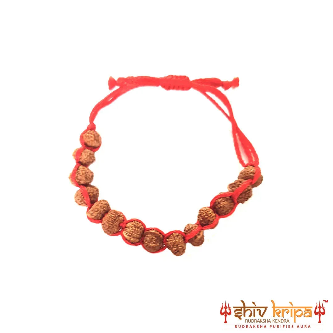 Shiv Kripa  Rudraksha