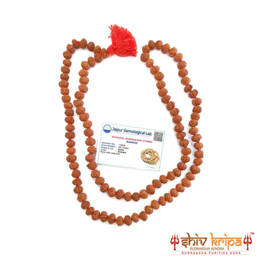 Ganesh Rudraksha Mala,108 +1 Beads