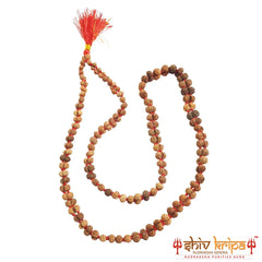 Gauri Shankar Rudraksha Mala