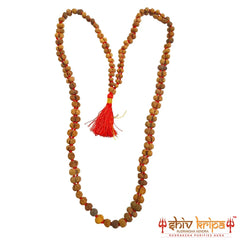 Gauri Shankar Rudraksha Mala