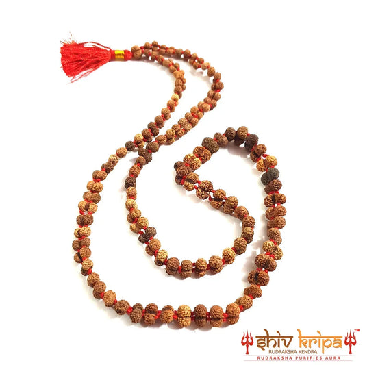 Gauri Shankar Rudraksha Mala