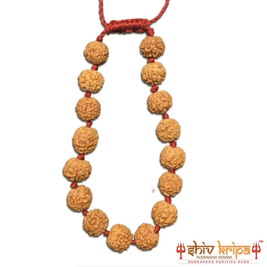 4 Mukhi Rudraksha Bracelet (Adjustable)