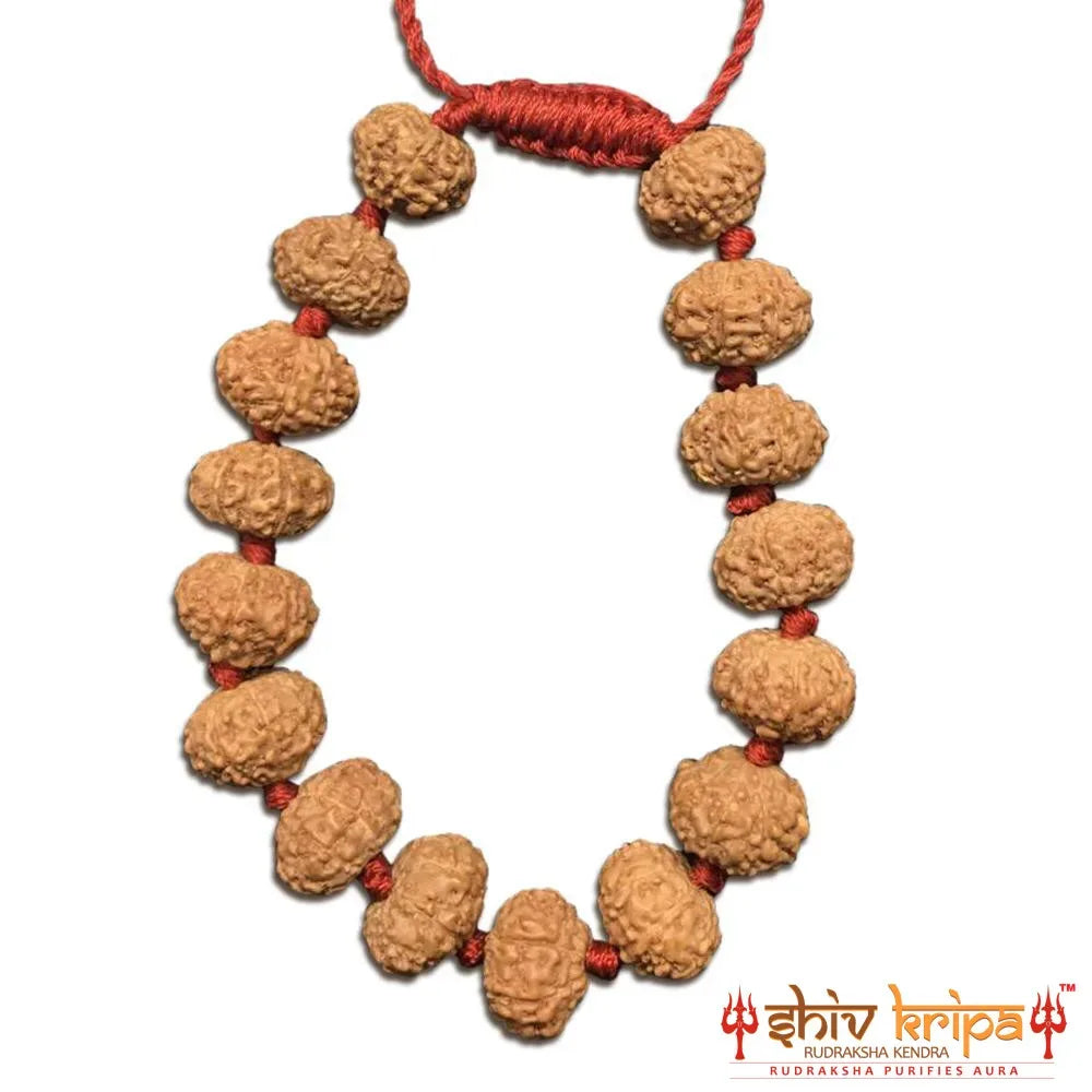 7 Mukhi Rudraksha Bracelet (Adjustable)