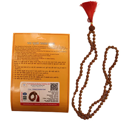 10 Mukhi Rudraksha with 5 Mukhi Rudraksha Mala