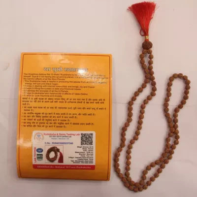 10 Mukhi Rudraksha with 5 Mukhi Rudraksha Mala