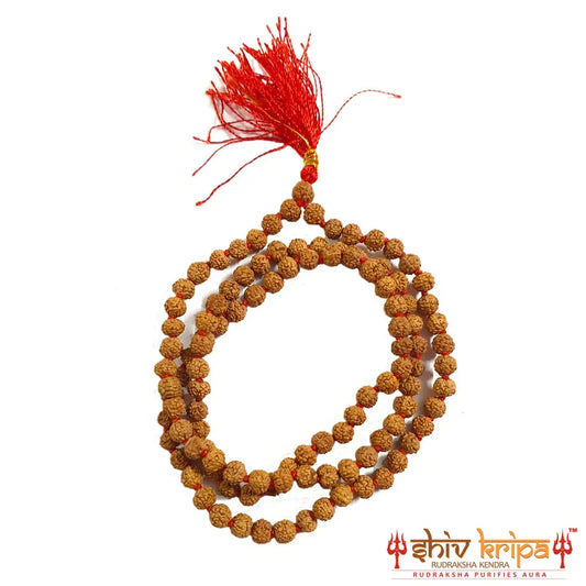 Real Five Mukhi Rudraksha Mala