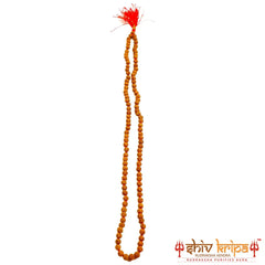 Real Five Mukhi Rudraksha Mala