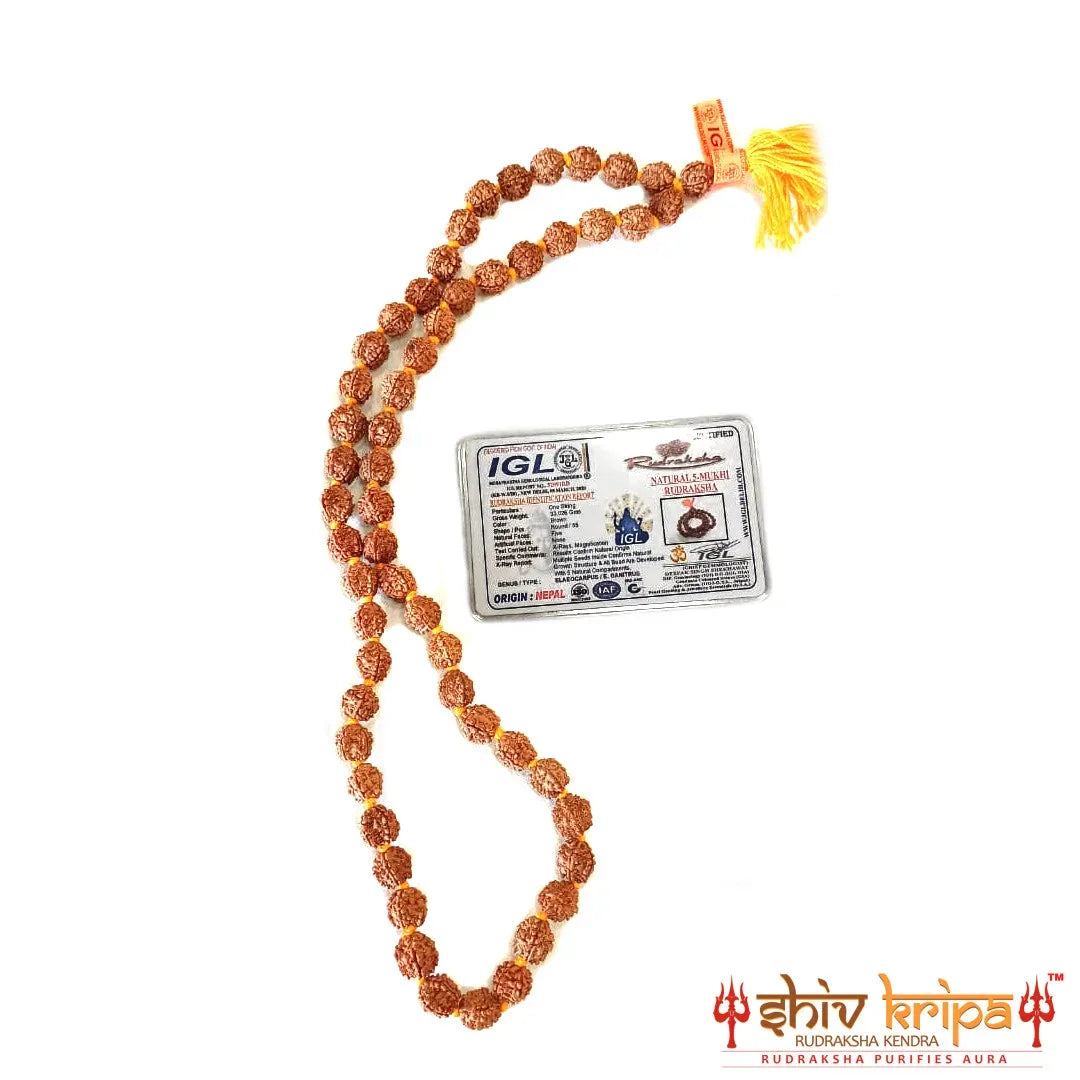 Real 5 Mukhi Rudraksha Mala