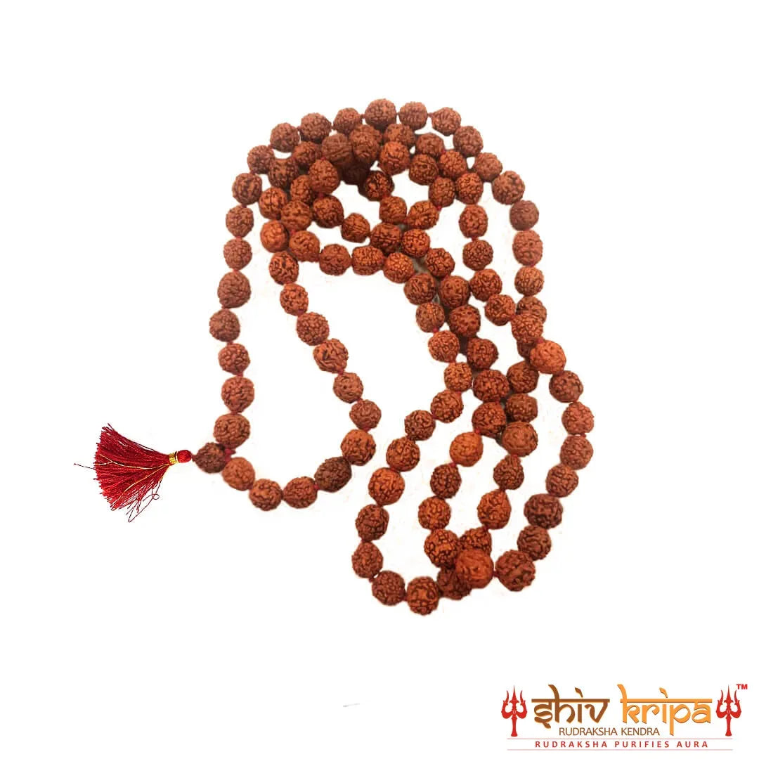 5 Mukhi Rudraksha Mala Indonesian