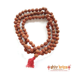 5 Mukhi Rudraksha Mala Indonesian