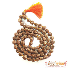 Real 5 Mukhi Rudraksha Mala