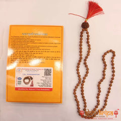 7 Mukhi Rudraksha with 5 Mukhi Rudraksha Mala