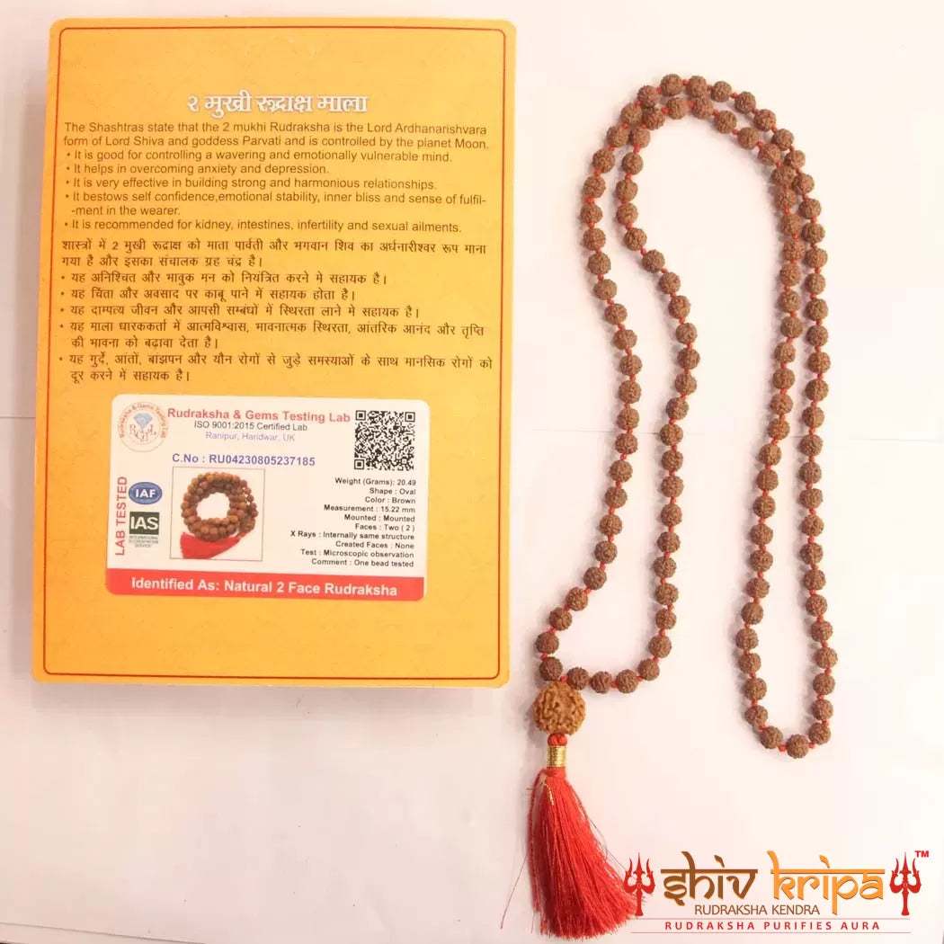 2 Mukhi Rudraksha with 5 Mukhi Rudraksha Mala