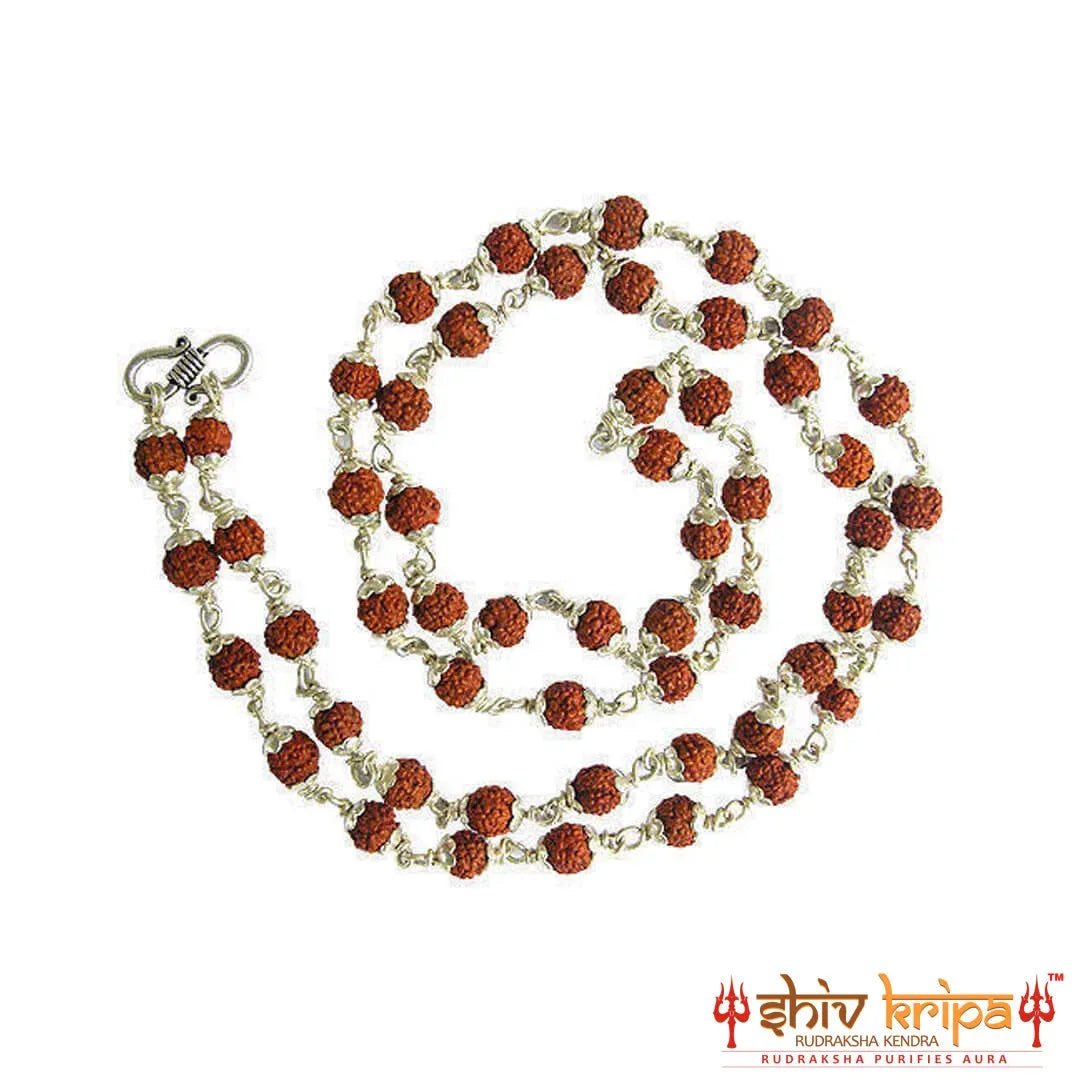 5 Mukhi Rudraksha Mala 54+1 Beads in Pure Silver Capping