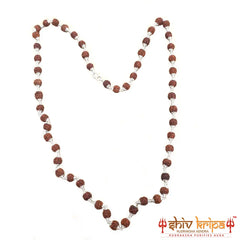 5 Mukhi Rudraksha Mala 54+1 Beads in Pure Silver Capping