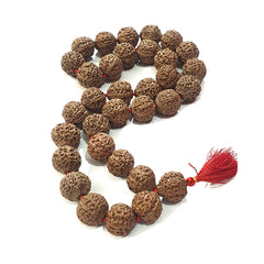 Rudraksha Kantha Mala (Amala Size/Super Big Beads) 33 Beads