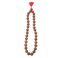 Rudraksha Kantha Mala (Amala Size/Super Big Beads) 33 Beads