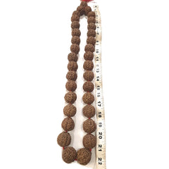 Rudraksha Kantha Mala (Amala Size/Super Big Beads) 33 Beads