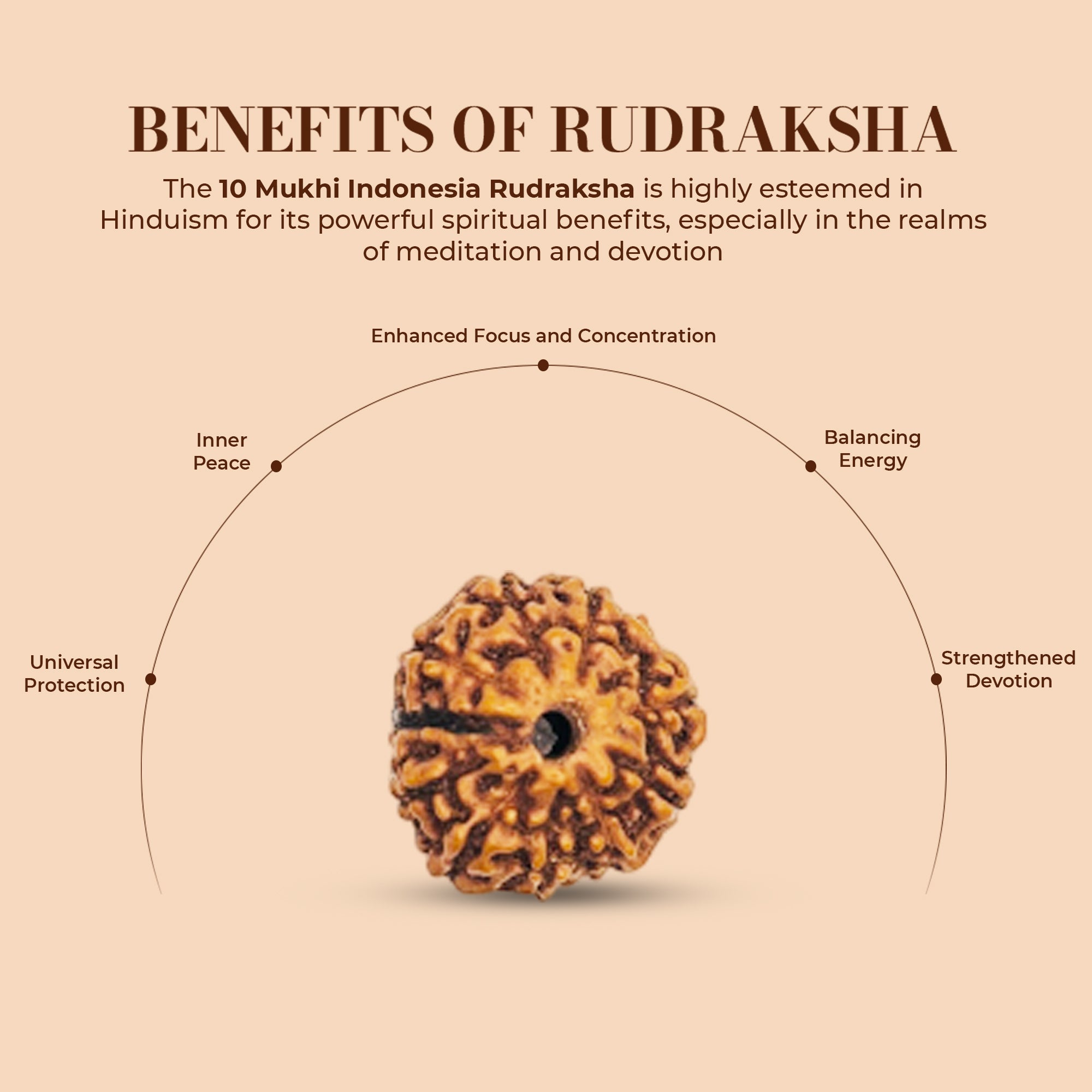 10 Mukhi Rudraksha (Indonesian)