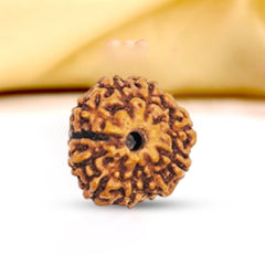 10 Mukhi Rudraksha (Indonesian)