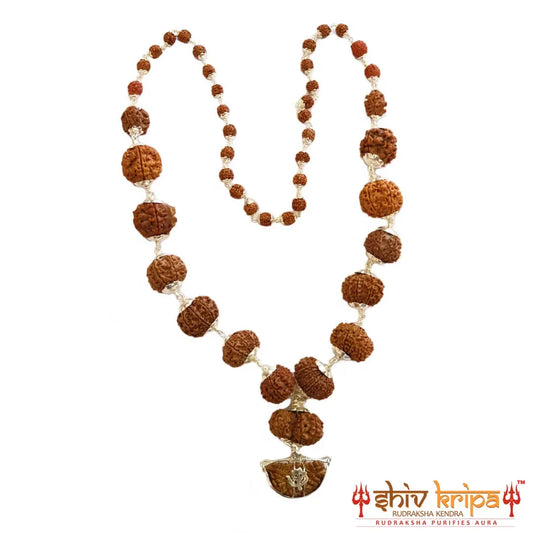 Sarv Siddha Rudraksha Mala 1 to 14 Mukhi Rudraksha