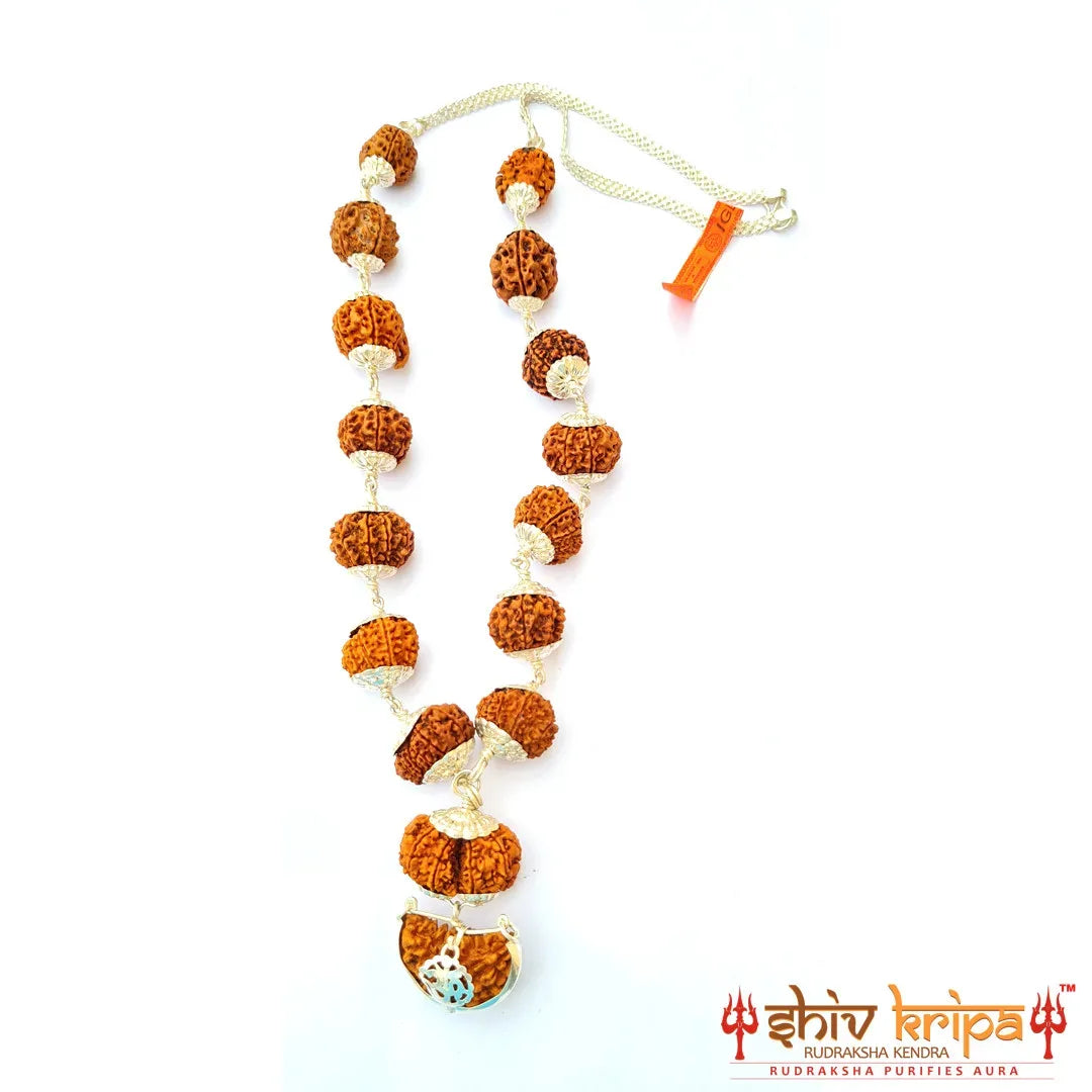 1-14 Mukhi Rudraksha Siddha Mala