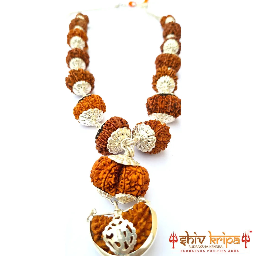 1-14 Mukhi Rudraksha Siddha Mala