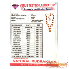 Sarv Siddha Rudraksha Mala 1 to 14 Mukhi Rudraksha